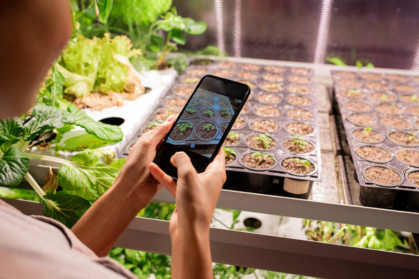 Młoda mobilna rolniczka lub pracownica szklarni ze smartfonem robiąca zdjęcia małych sadzonek w doniczkach - Zdjęcie, obraz
