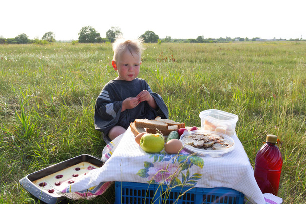 Kleine baby jongen picknick speelgoed Gelukkig kind zit op deken met mand eten fruit buiten. Vrijetijdsbesteding - Foto, afbeelding