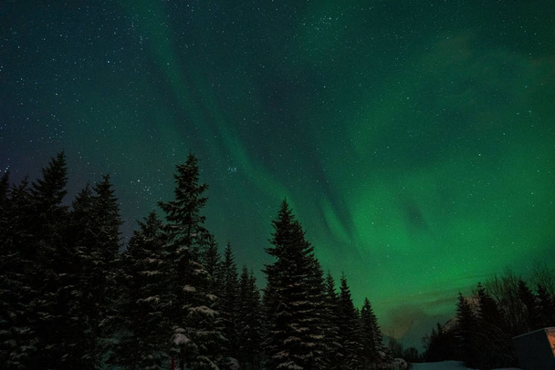 Night sky with aurora borealis lights. Arctic circle of northern Norway. - Photo, image