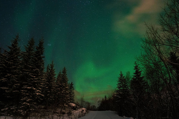 Green and blue waves of northern lights on night sky with stars.  - Φωτογραφία, εικόνα