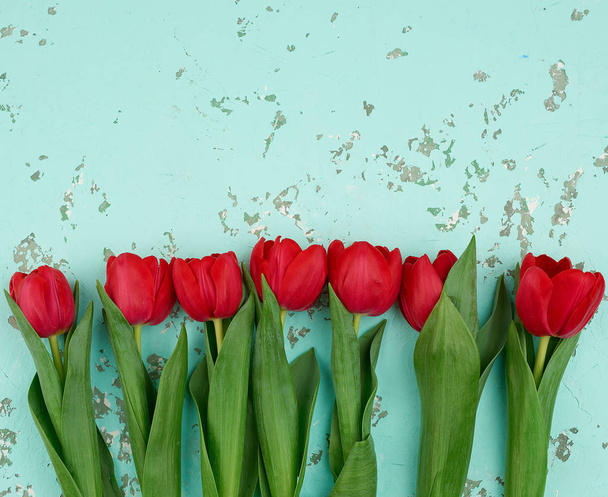 bouquet of red blooming tulips with green stems and leaves  - Photo, Image