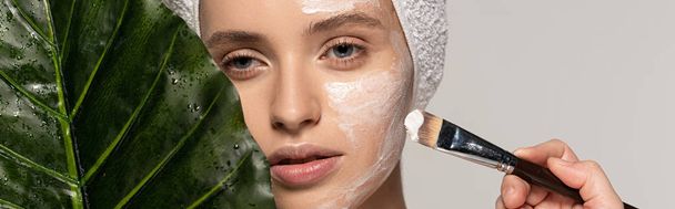 panoramic shot of beautiful girl applying mask on face with cosmetic brush, isolated on grey with leaf - Photo, Image