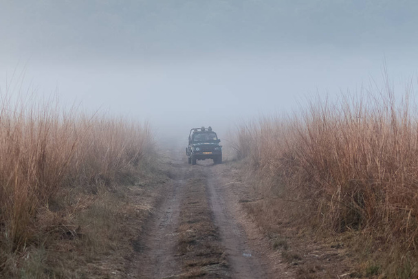 Landschaft aus Grasland im nebligen Wintermorgen und Safari-Fahrzeug überquert Pfad des Jim Corbett National Park, Nainital, Pauri Garhwal Uttarakhand, Indien - Foto, Bild