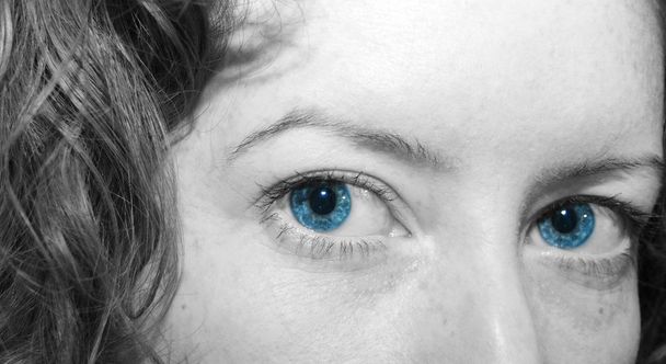 Blue Eyes - Valokuva, kuva