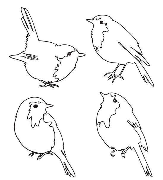 Set of four robin birds, freehand outline vector - Vector, Image