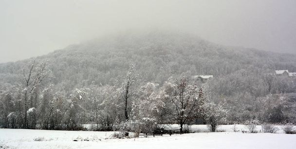 Nevado paisaje de invierno paisaje
 - Foto, imagen