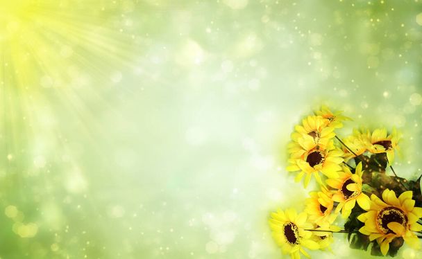 spring summer background flowering sunflowers abstract bokeh - Photo, Image