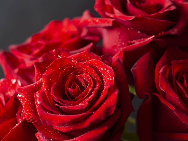 Strauß roter Rosen mit Wassertropfen auf den Blütenblättern. festlicher floraler Hintergrund. - Foto, Bild