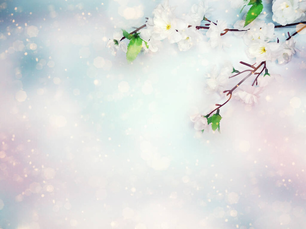spring background of flowering white cherry flowers tree and lea - Zdjęcie, obraz