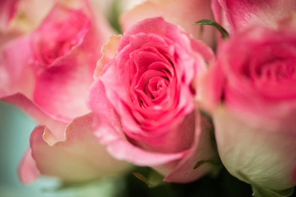 Nice roses in celebration concept - Foto, Imagen