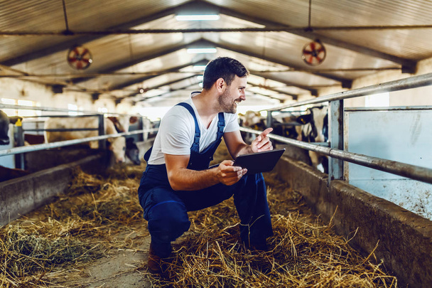 Handsome caucasian farmer in overall crouching next to calf, using tablet and smiling. Stable interior. - Fotoğraf, Görsel