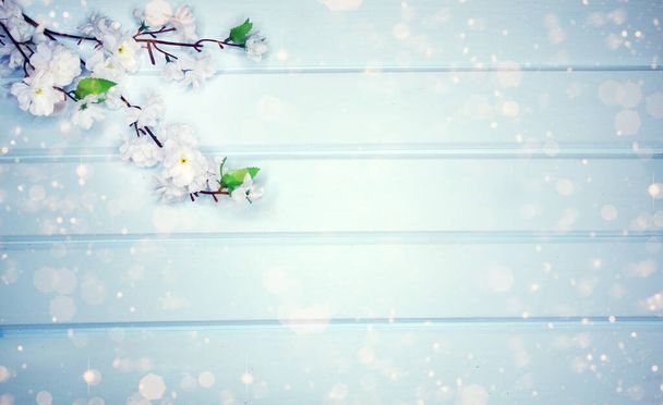 άνοιξη φόντο ανθοφορία λευκό κεράσι λουλούδια δέντρο και abstra - Φωτογραφία, εικόνα
