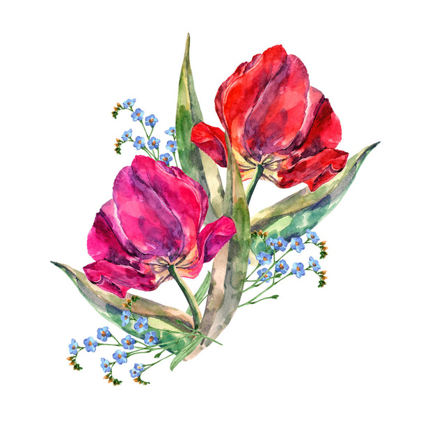 Akwarela wiosenne tulipany z niebieskimi kwiatami. Zdjęcie bukietu. - Zdjęcie, obraz