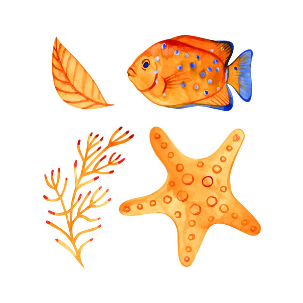 Set of hand drawn vector watercolor underwater fishes and octopus. Artistic design elements. - ベクター画像