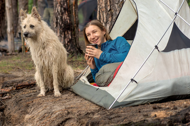 happy girl lies in a camping tent and drink coffee in the morning, a dog sits nearby - Photo, Image