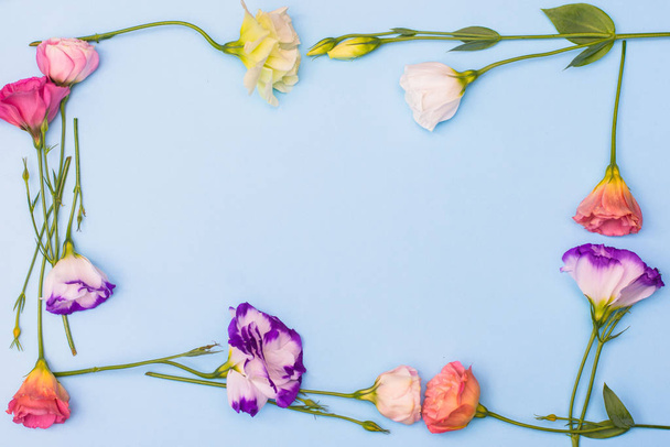 Frame van witte en roze eustoma bloemen op blauwe achtergrond, plat gelegd - Foto, afbeelding