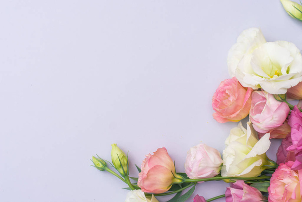 Delikatne białe i różowe kwiaty eustoma na szarym tle, płaskie leżaki - Zdjęcie, obraz