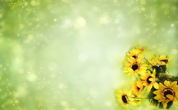 lente zomer achtergrond bloeiende zonnebloemen abstracte bokeh - Foto, afbeelding