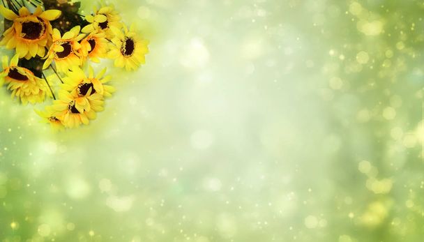 весняний літній фон квітучих соняшників
  - Фото, зображення
