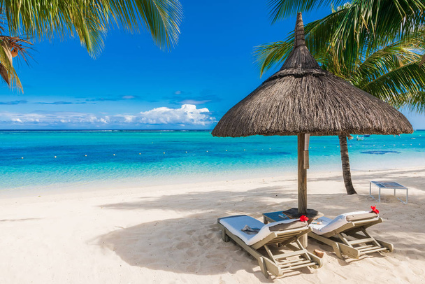 Chairs and umbrella at luxury beach with palms. - Photo, Image