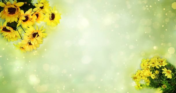 wiosenne letnie tło kwitnących słoneczników  - Zdjęcie, obraz