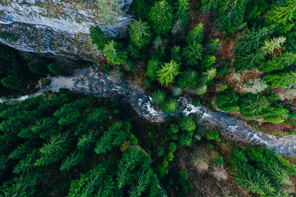 Creek winding through cliffs and forests seen from a drone - 写真・画像
