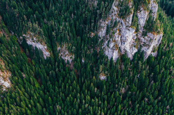 Bicaz gorge seen from a drone - Foto, Imagem