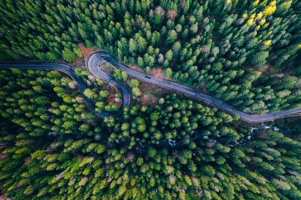 Drone view of winding forest road - Fotoğraf, Görsel