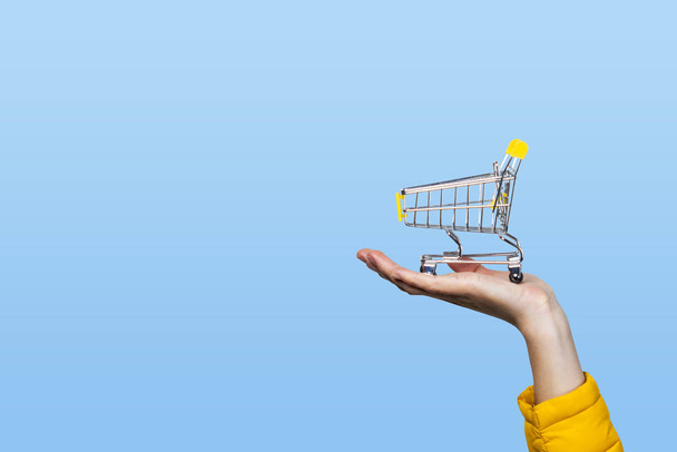 Einkaufskorb in weiblicher Hand auf blauem Hintergrund. Konzept Einkauf, Einkaufen, Online-Shopping - Foto, Bild