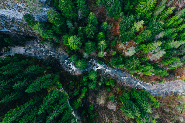 Creek winding through cliffs and forests seen from a drone - Foto, immagini