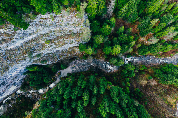 Creek winding through cliffs and forests seen from a drone - Valokuva, kuva