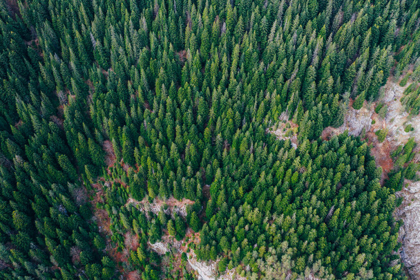 Bicaz gorge seen from a drone - Φωτογραφία, εικόνα