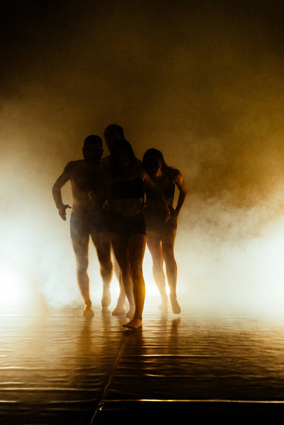 Moderneja ja tyylikkäitä balettitanssijoita tanssitunnilla - Valokuva, kuva
