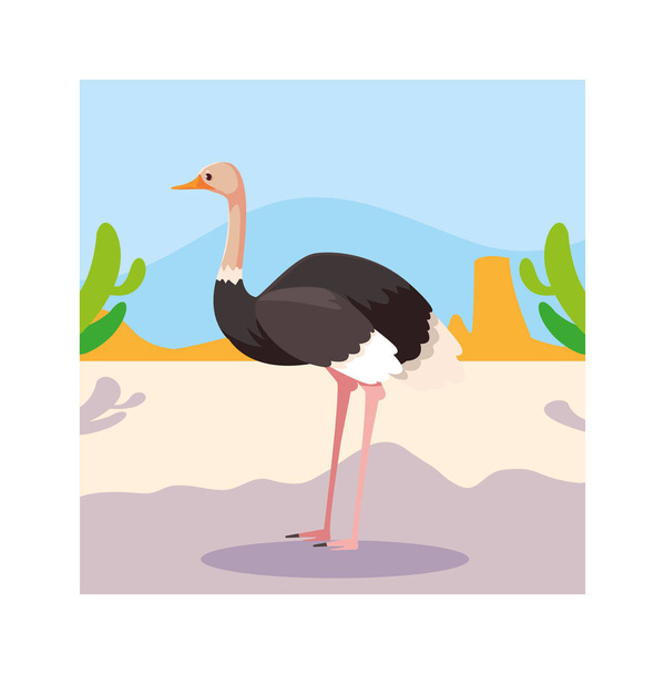 card with ostrich in australian landscape - ベクター画像