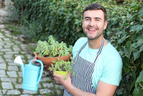 Lindo jardinero sosteniendo plantas suculentas
 - Foto, imagen
