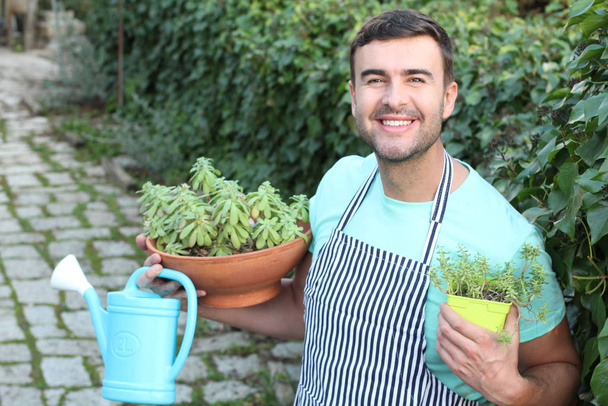 Милый садовник держит сочные растения
 - Фото, изображение