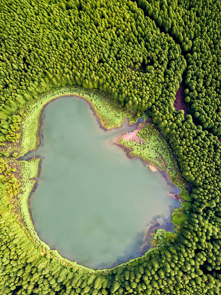 Paisagem de drone em forma de fantasma. Vista aérea de cima para baixo de uma pequena lagoa no meio de uma floresta, refletindo nuvens no céu. Vista para aves da lagoa das Canárias nos Açores, Portugal.  - Foto, Imagem
