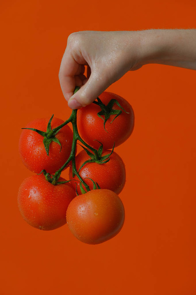 Close-up view of hand holding tomatoes on branch  - Fotoğraf, Görsel