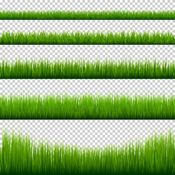 Grass borders collection. Green meadow nature background. Easter card design element. Vector illustration. - Vector, Image
