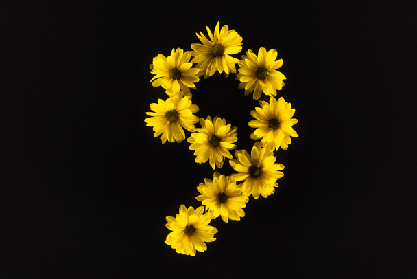 shora pohled na žluté sedmikrásky uspořádané v čísle 9 izolované na černé - Fotografie, Obrázek