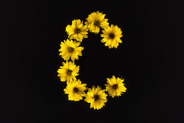 top view of yellow daisies arranged in letter C isolated on black - Fotografie, Obrázek