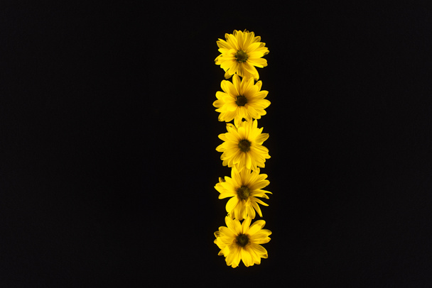 top view of yellow daisies arranged in letter I isolated on black - Valokuva, kuva