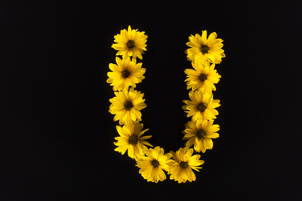 top view of yellow daisies arranged in letter U isolated on black - Valokuva, kuva