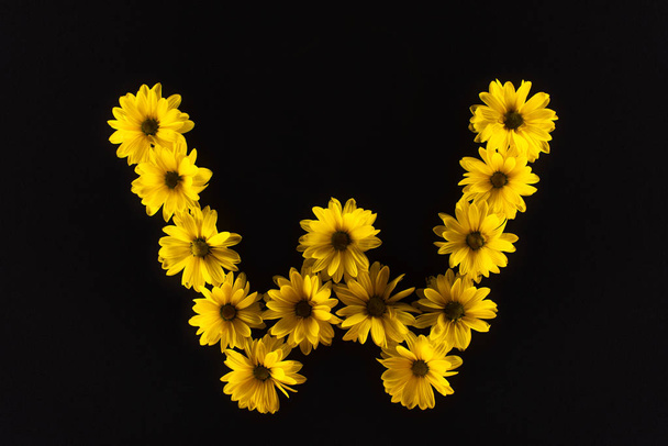 top view of yellow daisies arranged in letter W isolated on black - Fotó, kép