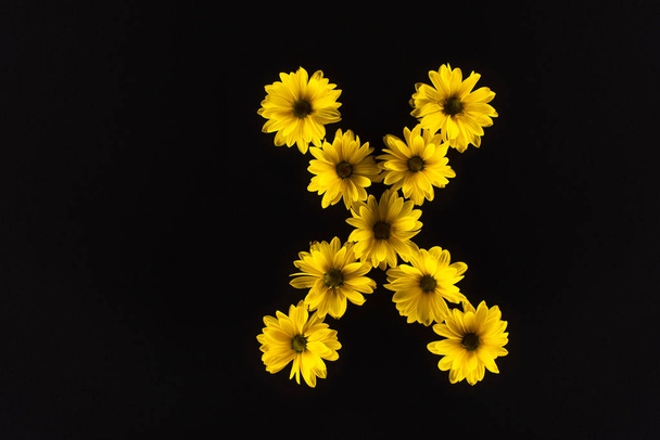 vista superior de las margaritas amarillas dispuestas en la letra X aisladas en negro
 - Foto, Imagen
