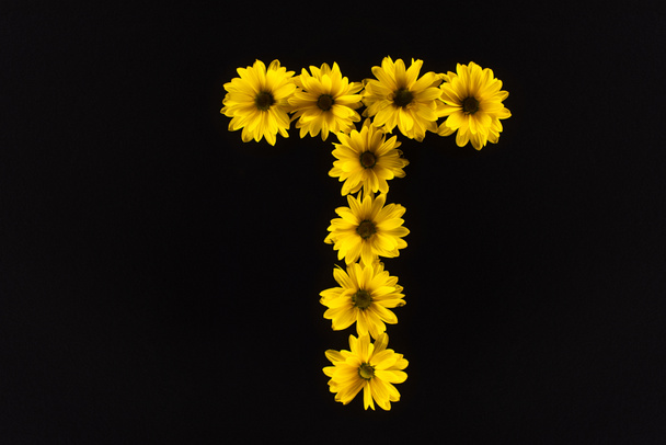shora pohled na žluté sedmikrásky uspořádané v písmenu T izolované na černé - Fotografie, Obrázek