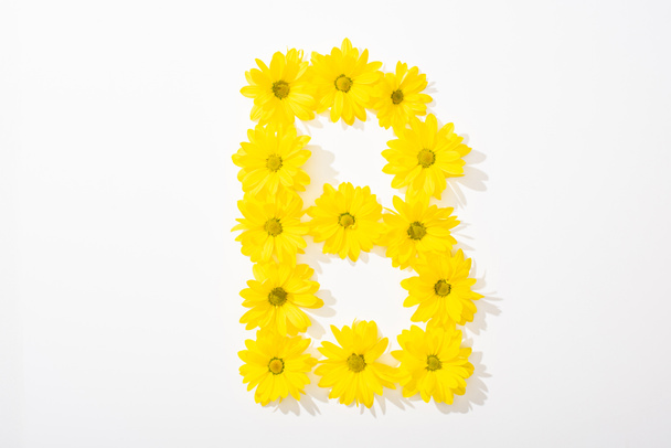 top view of yellow daisies arranged in letter B on white background - Zdjęcie, obraz