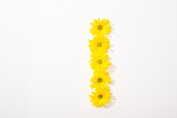 top view of yellow daisies arranged in letter I on white background - Photo, Image