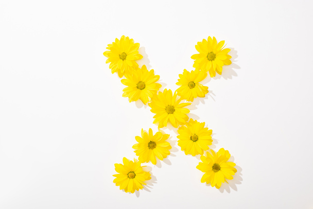 Beyaz arkaplanda X harfi ile sıralanmış sarı papatyaların üst görünümü - Fotoğraf, Görsel