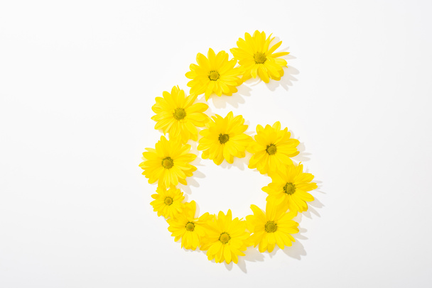 top view of yellow daisies arranged in number 6 on white background - Photo, Image